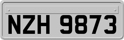 NZH9873
