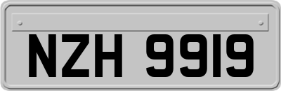 NZH9919