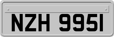 NZH9951