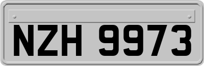 NZH9973