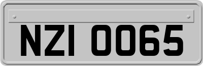 NZI0065