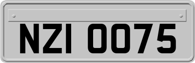NZI0075