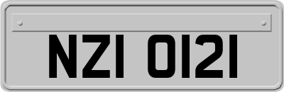 NZI0121