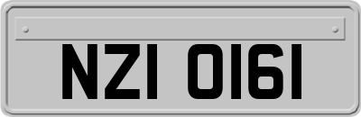 NZI0161