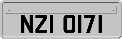 NZI0171