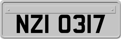 NZI0317