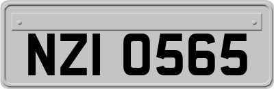 NZI0565