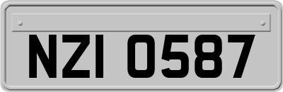 NZI0587