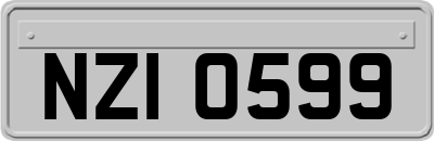 NZI0599