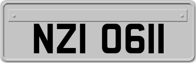 NZI0611