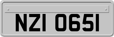 NZI0651