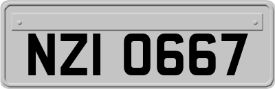 NZI0667