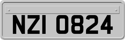 NZI0824