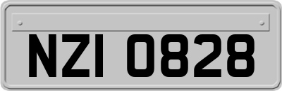 NZI0828