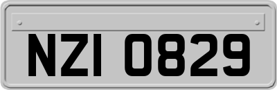 NZI0829