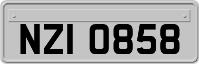 NZI0858