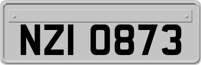 NZI0873