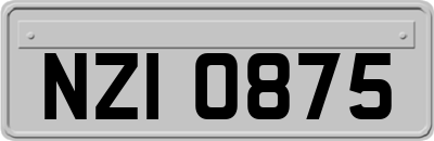 NZI0875