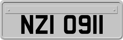 NZI0911