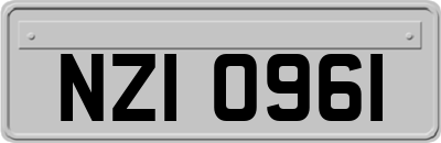 NZI0961