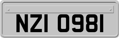 NZI0981