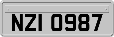 NZI0987