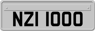 NZI1000