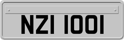 NZI1001