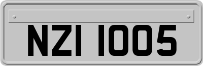 NZI1005