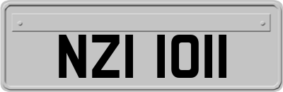 NZI1011