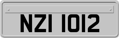 NZI1012