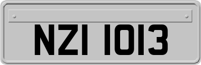 NZI1013