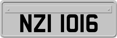NZI1016