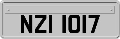 NZI1017