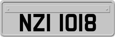 NZI1018