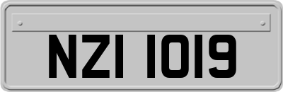 NZI1019