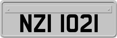 NZI1021