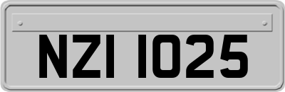 NZI1025