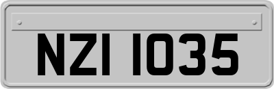 NZI1035