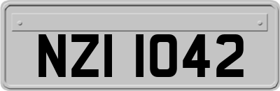 NZI1042