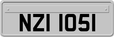 NZI1051