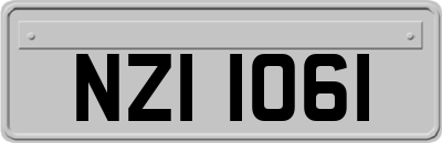 NZI1061