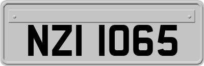 NZI1065