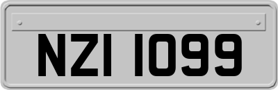 NZI1099