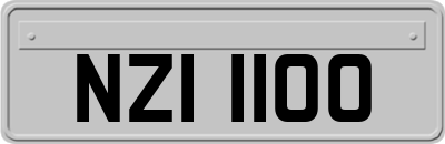 NZI1100