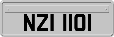 NZI1101