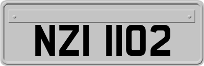 NZI1102