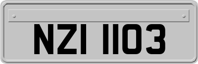 NZI1103