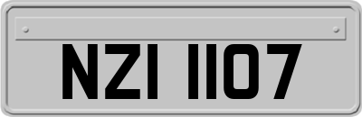 NZI1107