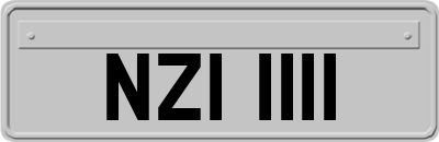NZI1111